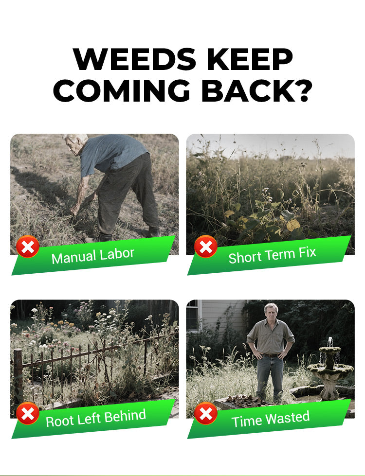 Cyclosinone Herbicide Granules 🔥 LIMITED TIME OFFER 🔥