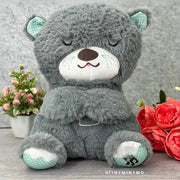 Breathing Bear - Musical Plushie
