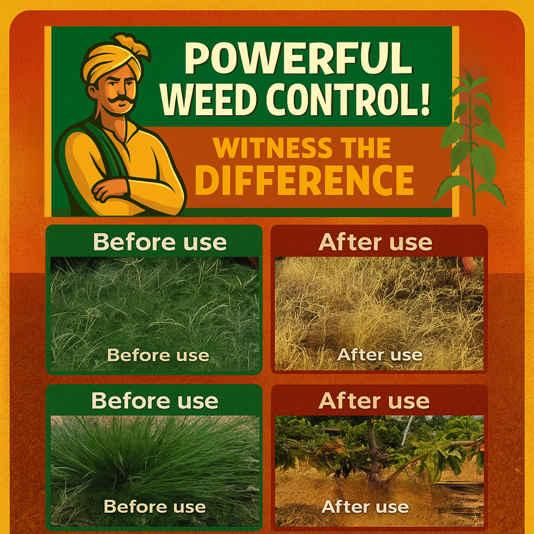 🔥High Concentration Glufosinate Herbicide (Buy 1 Get 1 Free)