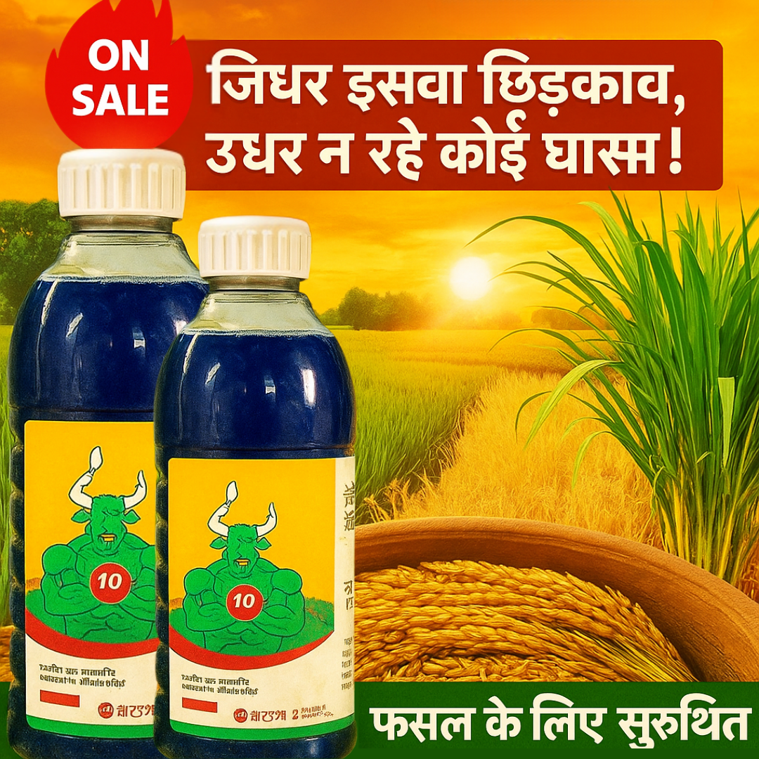 🔥High Concentration Glufosinate Herbicide (Buy 1 Get 1 Free)