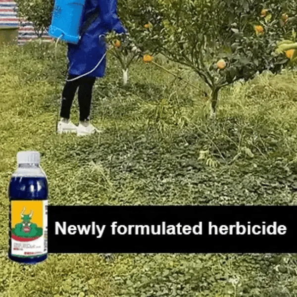 🔥High Concentration Glufosinate Herbicide (Buy 1 Get 1 Free)